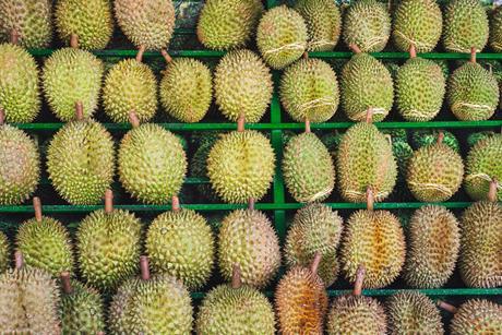 Vietnamese durian Vietnam AdobeStock_962894185