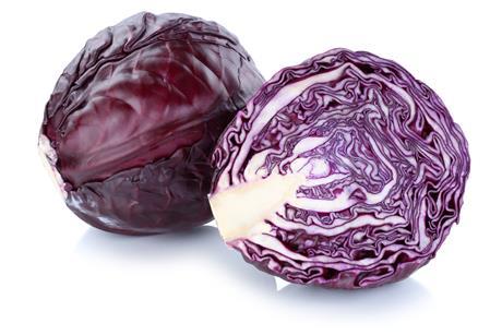 Foto: AdobeStock