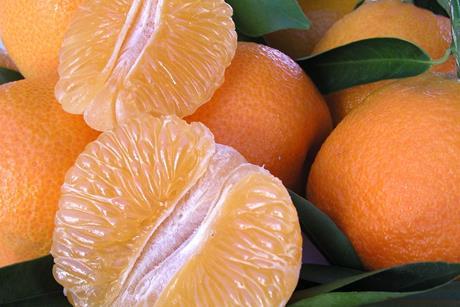 Südafrika: Erheblicher Rückgang der Citrus-Mengen