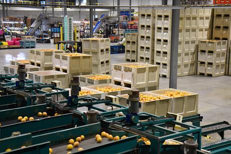 IMG Citrus Sweet Sixty Packhouse