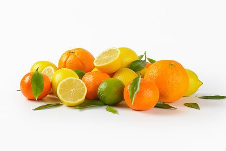 Citrusfrüchte-Mix