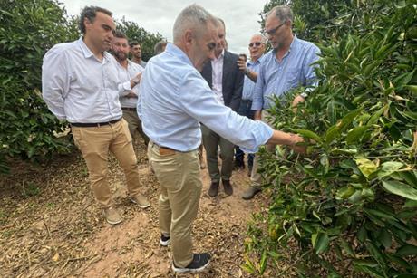 visita granizo burriana