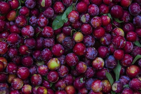 Rote, runde Pflaumen