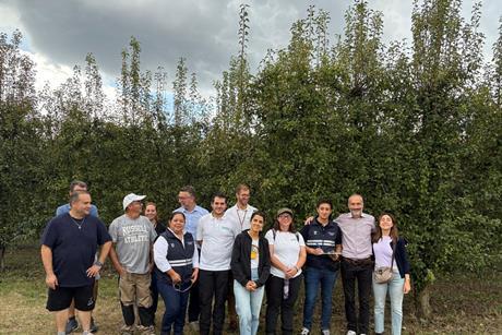 Visite der ecuadorianischen Vertreter im italienischen Birnenanbau - CSO Italy