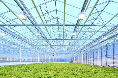 Glasshouse production is developing rapidly
