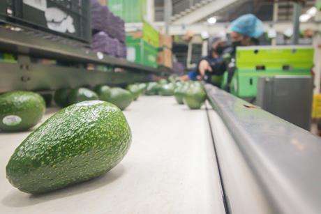 Apeam Mexican avocados