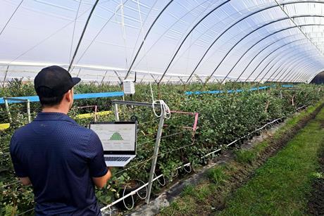 Costa Group uses WayBeyond's FarmRoad