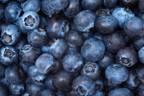 Blueberries top-down view closeup Adobe Stock