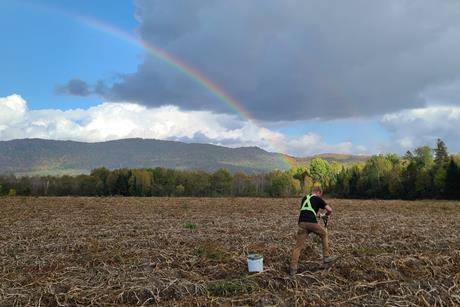 McCain is looking at new ways to farm sustainably