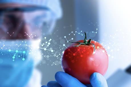 Gene editing Tomato DNA Adobe Stock