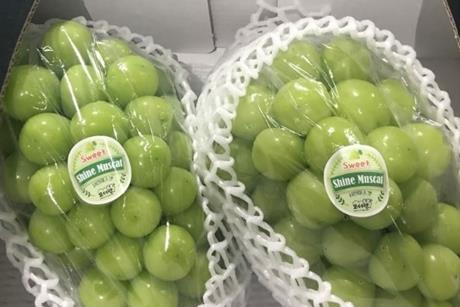 Korea Shine muscat 01-02.Shine muscat