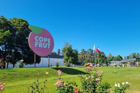 Copefrut sustainability report