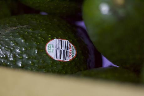 Mexican avos