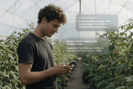 NZ WayBeyond Agronomy Intelligence