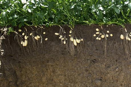 Foto: Gabriela Brändle, Agroscope