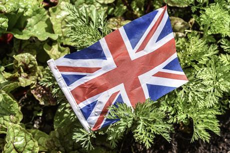 British flag on carrots and chard production