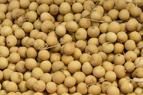 Thai longan