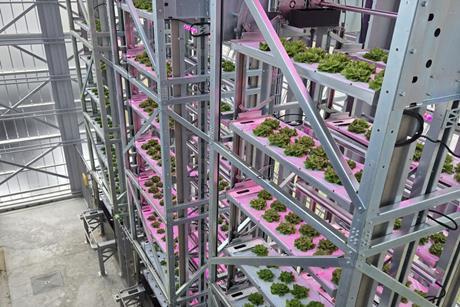 Urban Crop Solutions indoor farming leafy greens