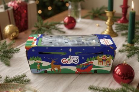 Hortifrut Berry Christmas