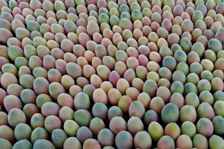 Peruvian mangoes