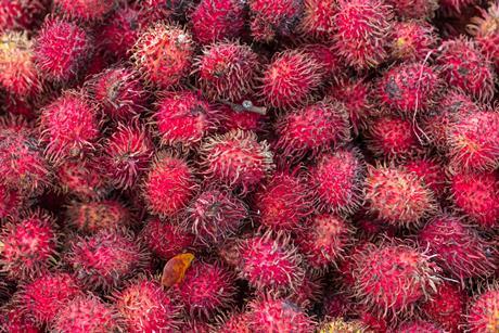 Rambutan