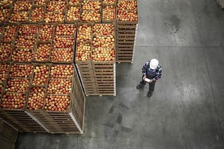 Apples coldstore DP World