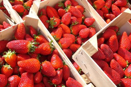 Erdbeeren