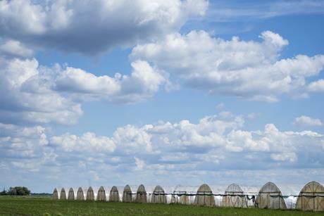 Planning for infrastructure is a challenge for growers