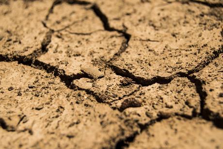 Dürre, Trockenheit, vertrockneter Boden