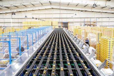 Kiwifruit pack house