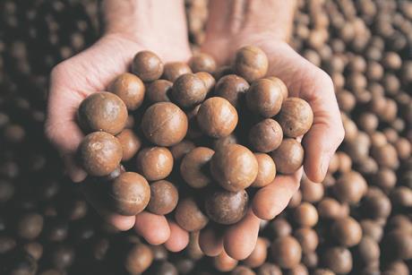 Australian macadamias