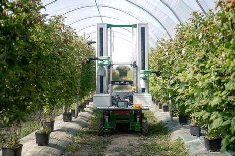 Fieldwork develops robotic crop harvesters