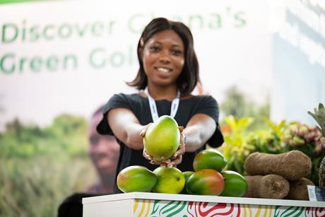 IT Macfrut 2025 mangoes