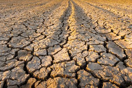 Drought