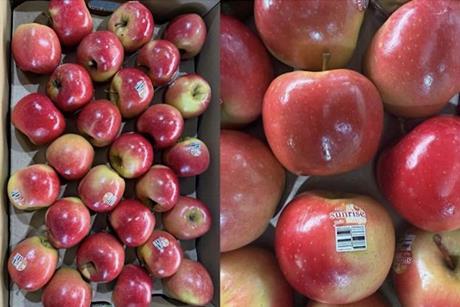 Sunrise Magic apples Fruit Australia