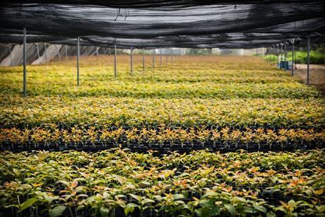 ropic  Rahan facility in The Philippines 2