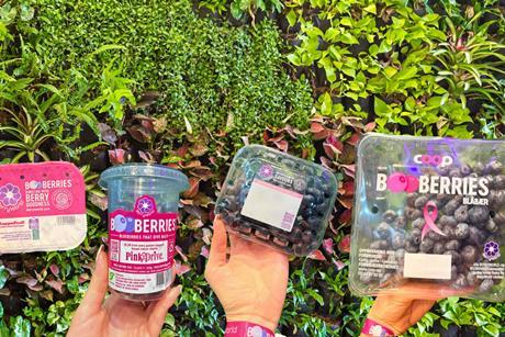 Booberries Line up
