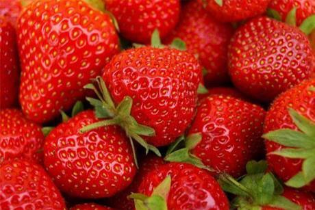 Erdbeere Elodi