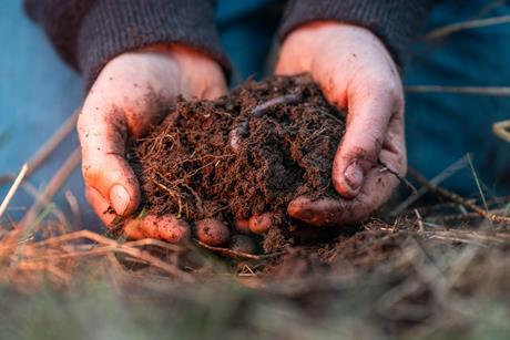 Organic farm soil sample