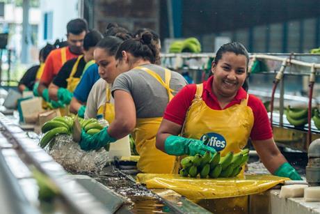 Fyffes Sustainability Report