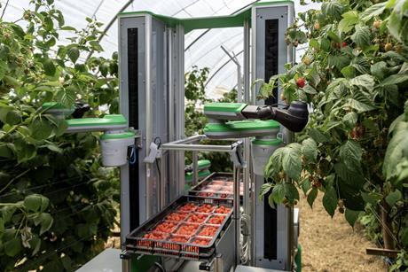 Fieldwork Robotics raspberry harvesting