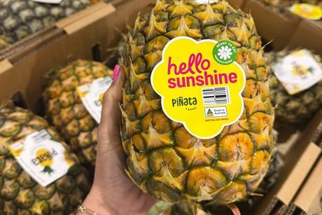 Piñata Farms launches new branding as it begins harvest on its far north Queensland crop