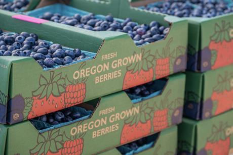 Organic Oregon Blueberries USA MUST CREDIT mdurson - Adobe Stock