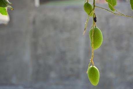 AdobeStock_2209958380