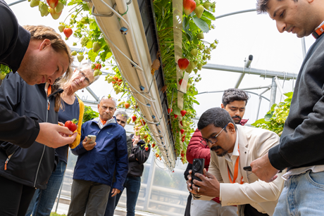 Greenhouse visit