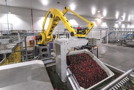 Unitec washing cherries