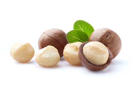 Macadamia