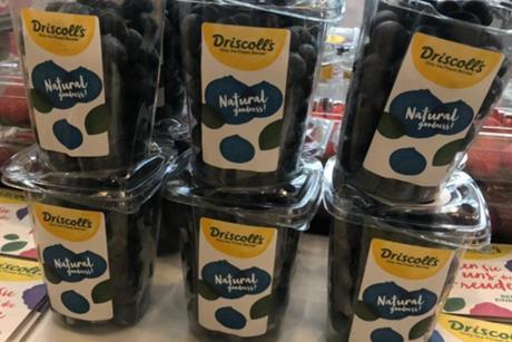 Driscolls blueberries