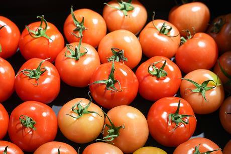 Tomaten