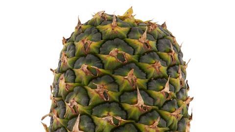 kronenlose Ananas